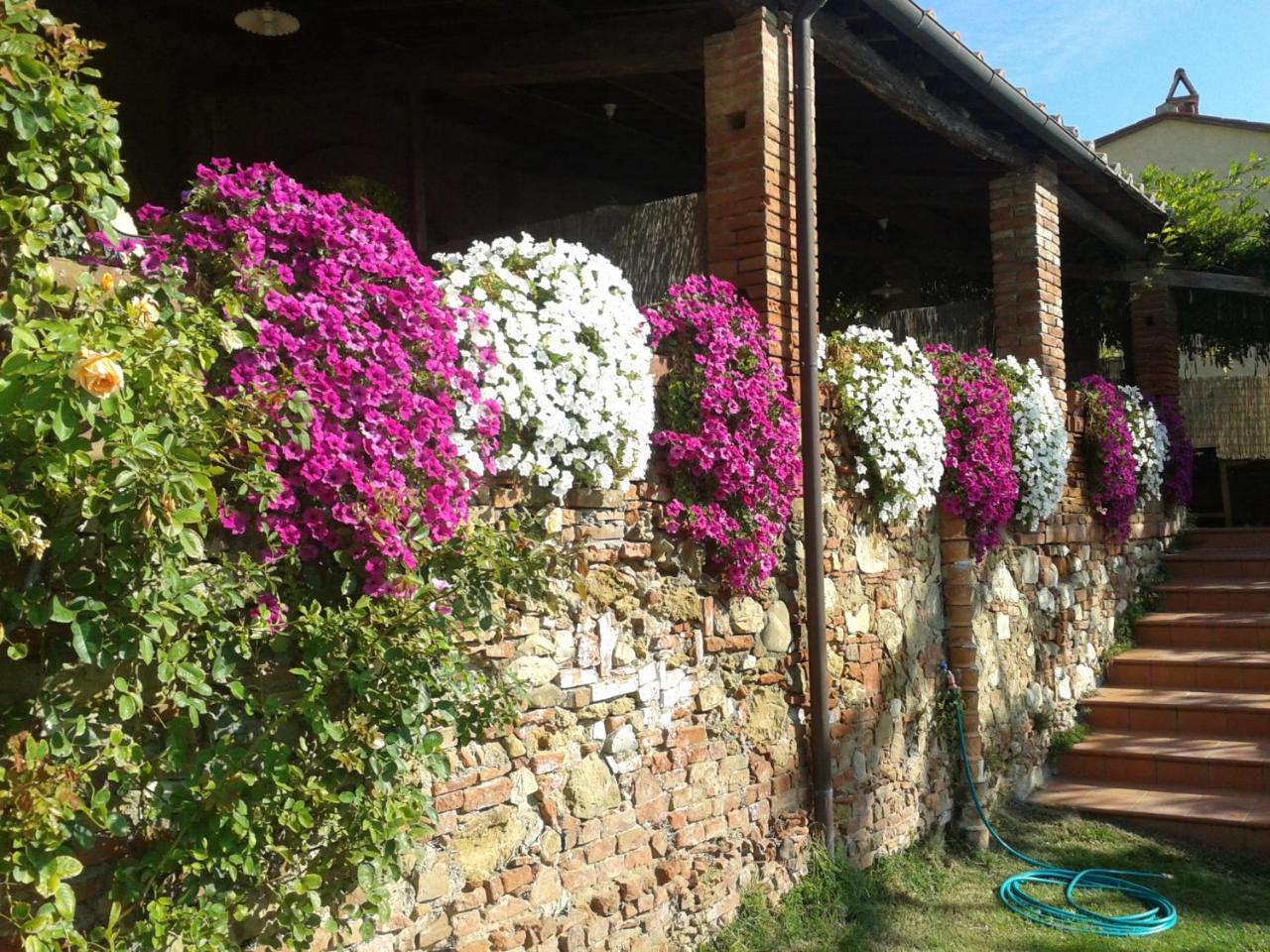 Borgo Fajani Guest House Terricciola Luaran gambar
